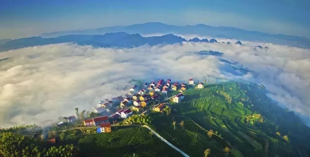 金年会 金字招牌诚信至上